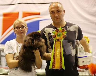   20-21  2014 WCF- 1-242-169A1434 copy.jpg